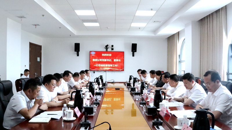2022年6月，集團(tuán)公司黨委書記、董事長(zhǎng)戴和根一行到公司調(diào)研指導(dǎo)工作