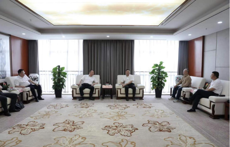 周鴻與湖南輕鹽集團黨委副書記、副董事長、總經(jīng)理李志勇舉行會談